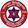 Purbanchal University