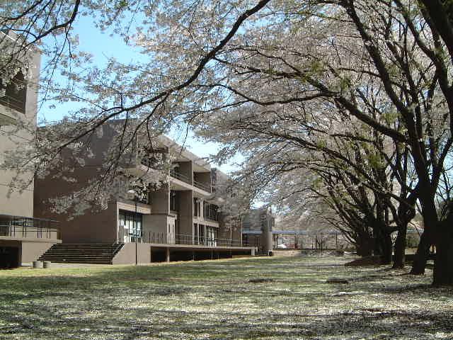 Rissho University