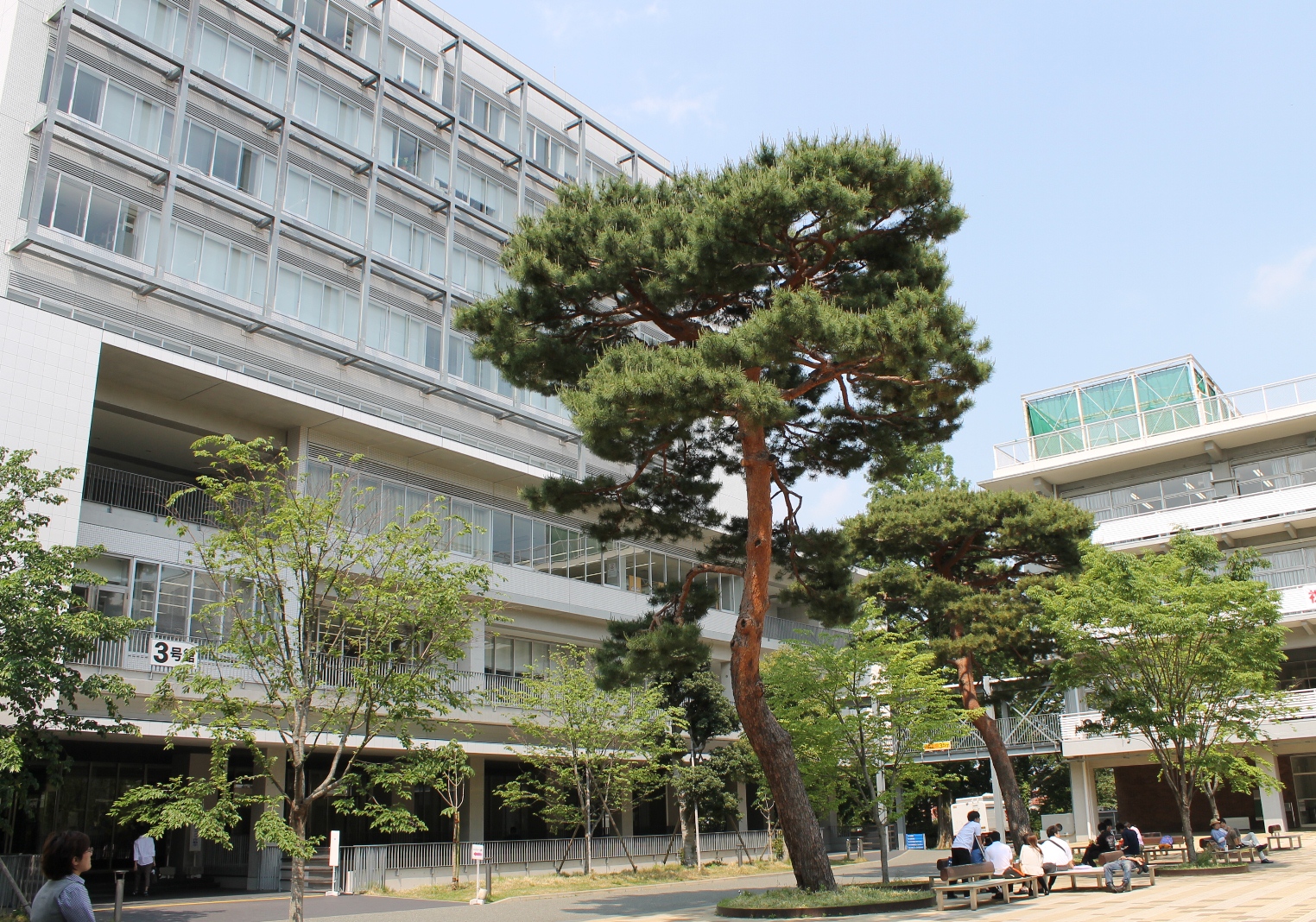 Seijo University