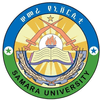 Semera University