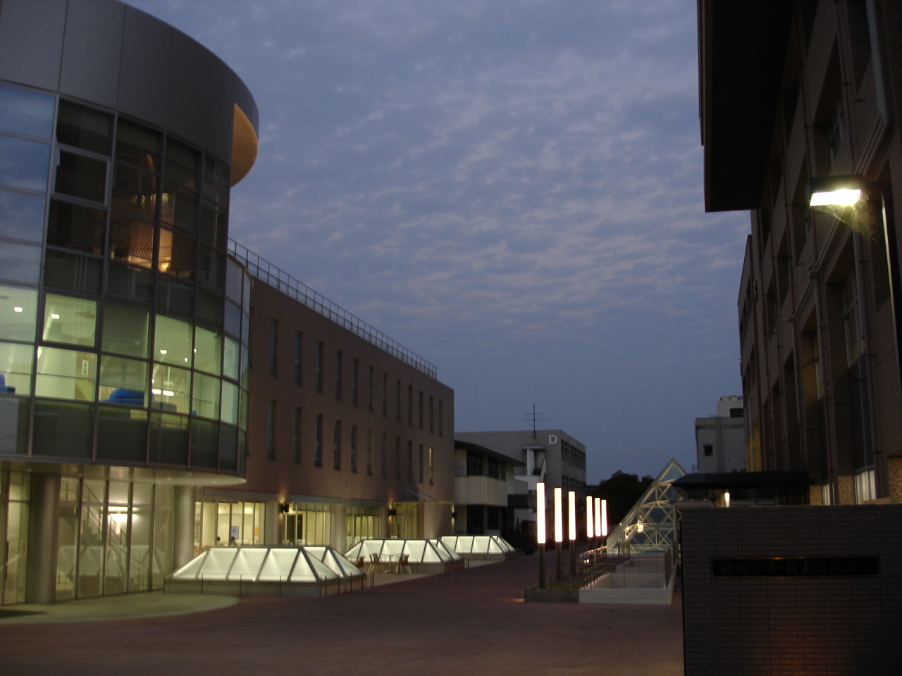 Shujitsu University