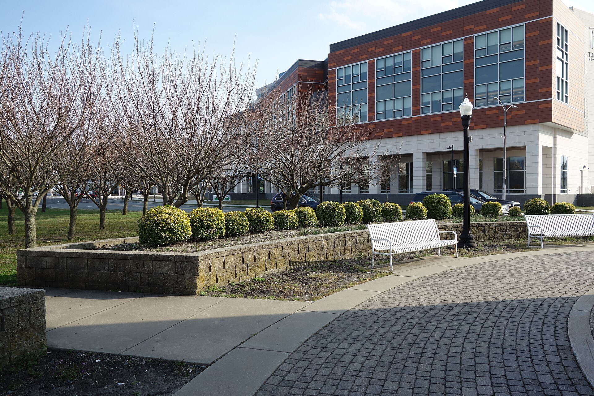 Stockton University