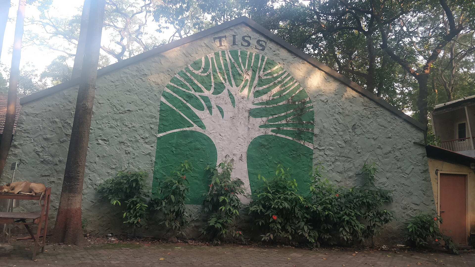 Tata Institute of Social Sciences