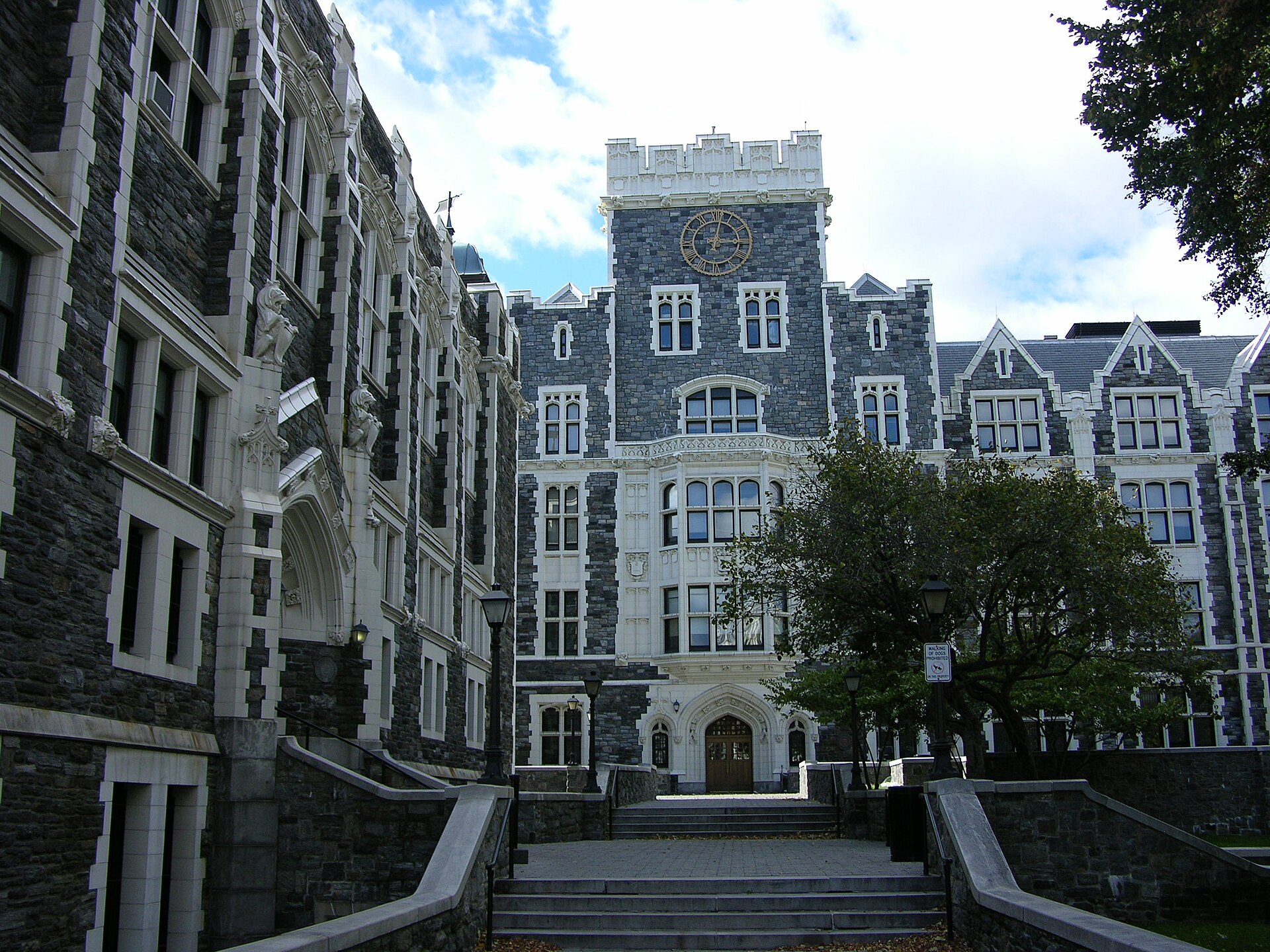 The City College of New York