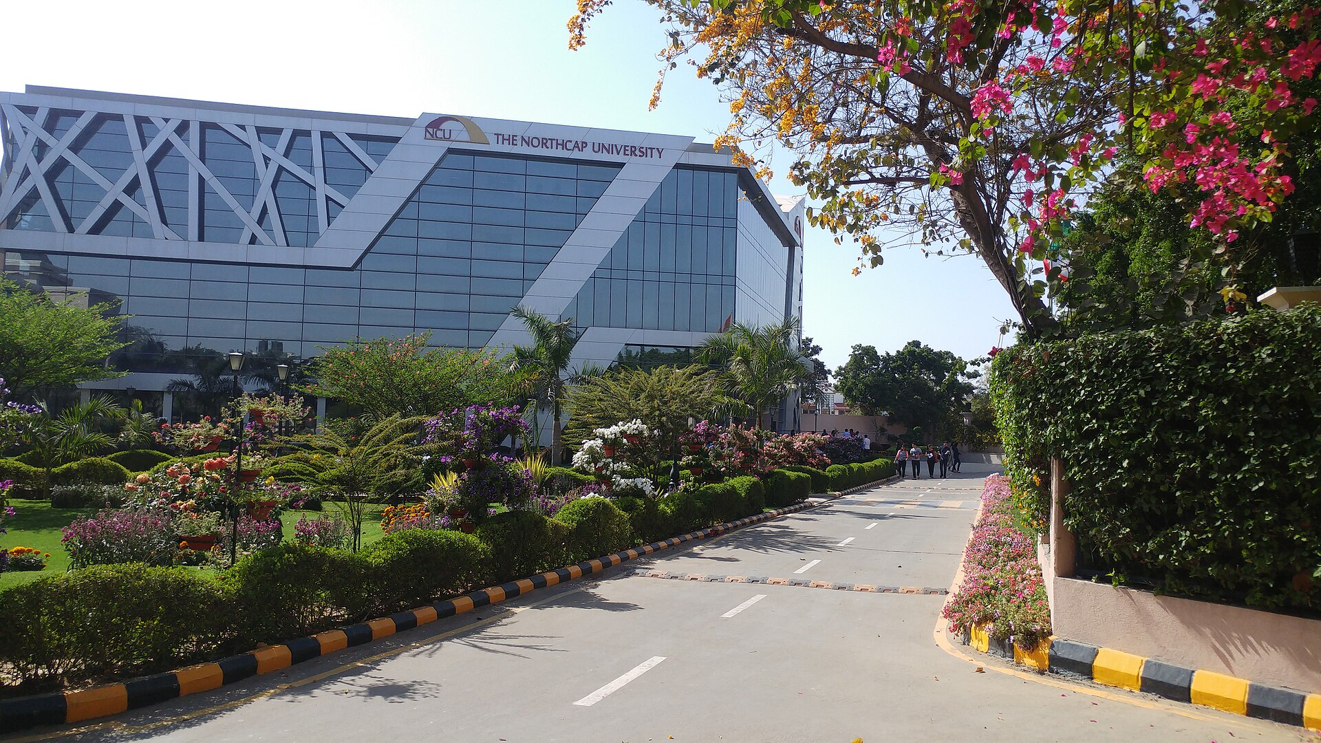 The Northcap University