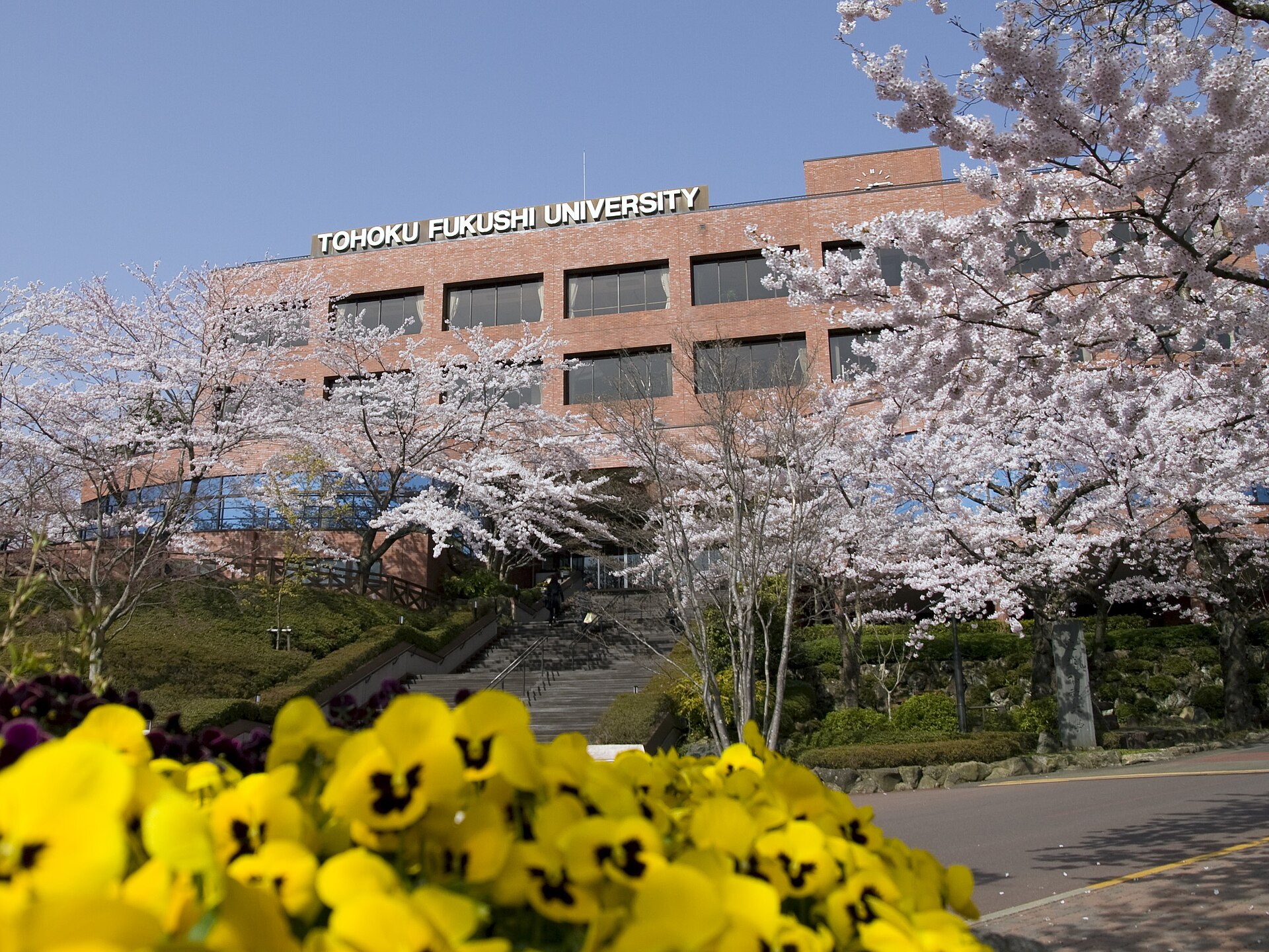 Tohoku Fukushi University