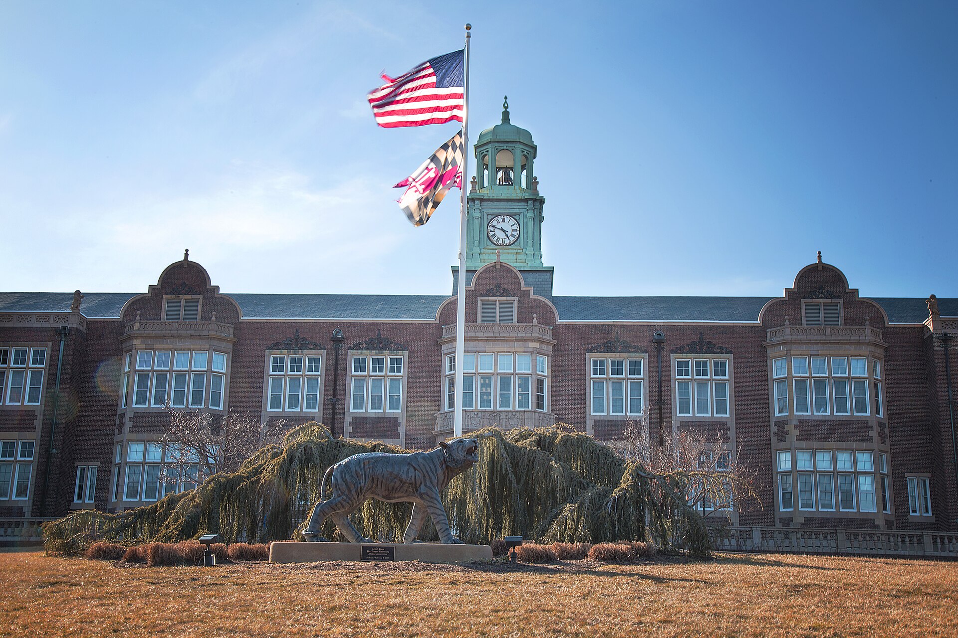 Towson University