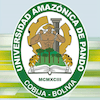 Universidad Amazónica de Pando